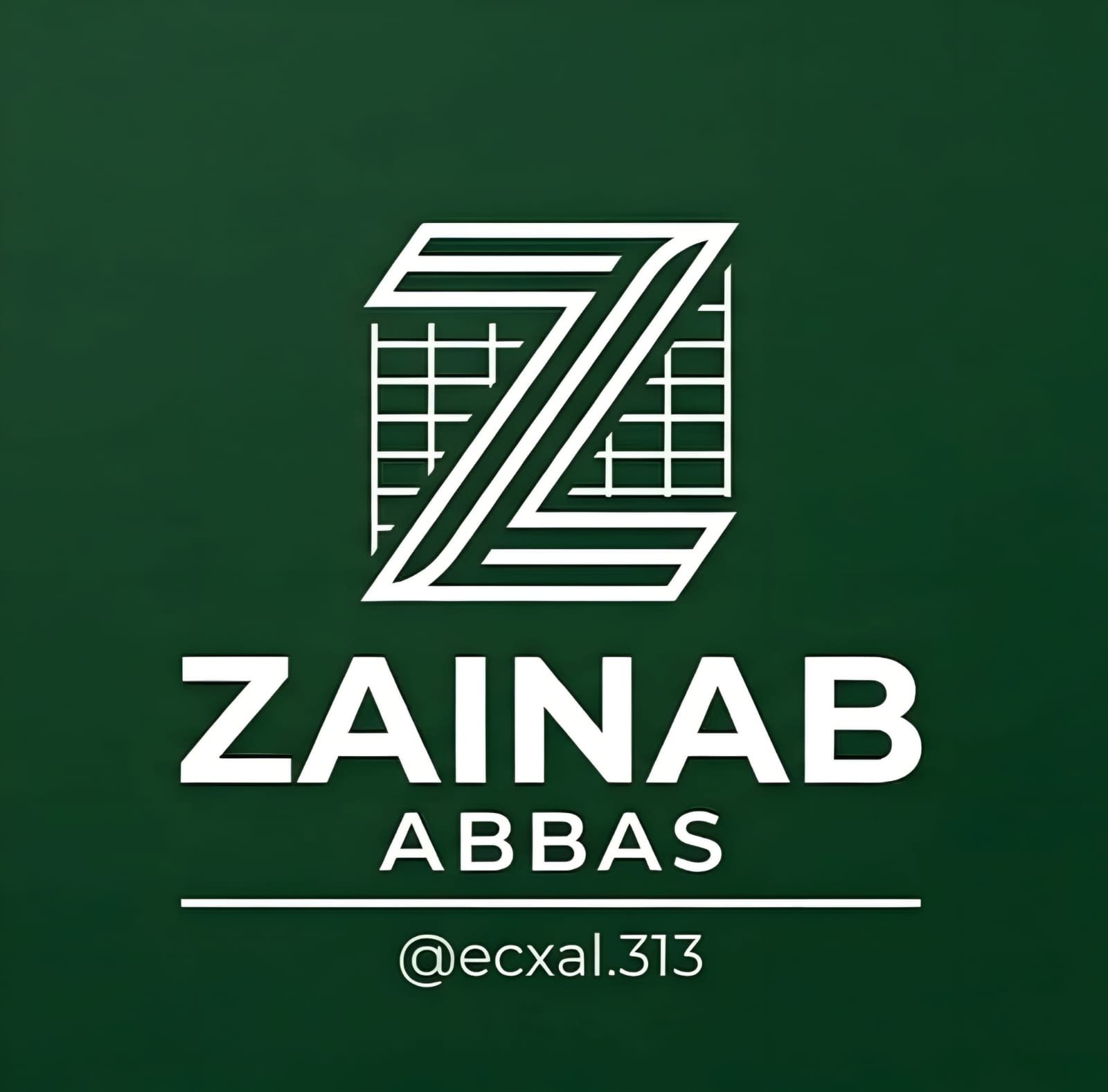 ZAINAB ABBAS NAEEM